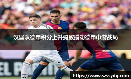 汉堡队德甲积分上升蚂蚁搅动德甲中游战局