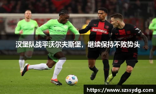 汉堡队战平沃尔夫斯堡，继续保持不败势头